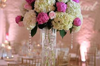 Janet Lanza Photography - 20