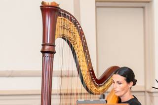 Jennie Eggleston, My Gentle Harp - 1