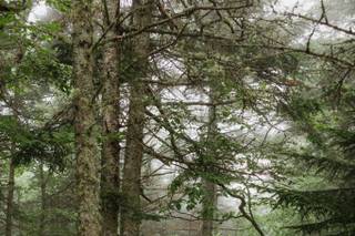 Sonya Lyn- Living Unbroken® - 6