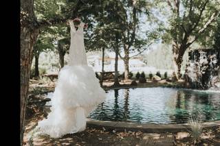 The Water Oasis - 34
