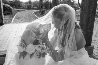Hofmann Ranch by Wedgewood Weddings - 5