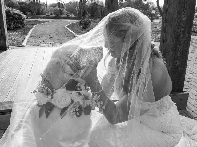 Hofmann Ranch by Wedgewood Weddings - 1