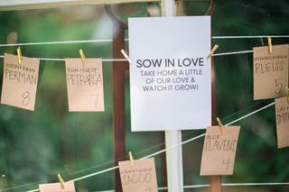 PLAIN WITH SPRINKLES EVENTS - 59
