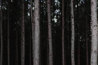 Carbone Photo Co. LLC - 28