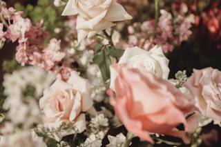 Golden Thistle Design - 6