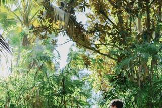 Great Woodland Photography - 5