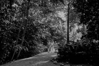 A Photo Gallery - 39