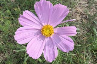 Lavender Event Planning - 6