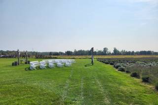 Lavender Shores Farm - 7
