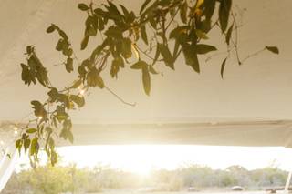 The Olive Branch Bakery & Cafe - 8