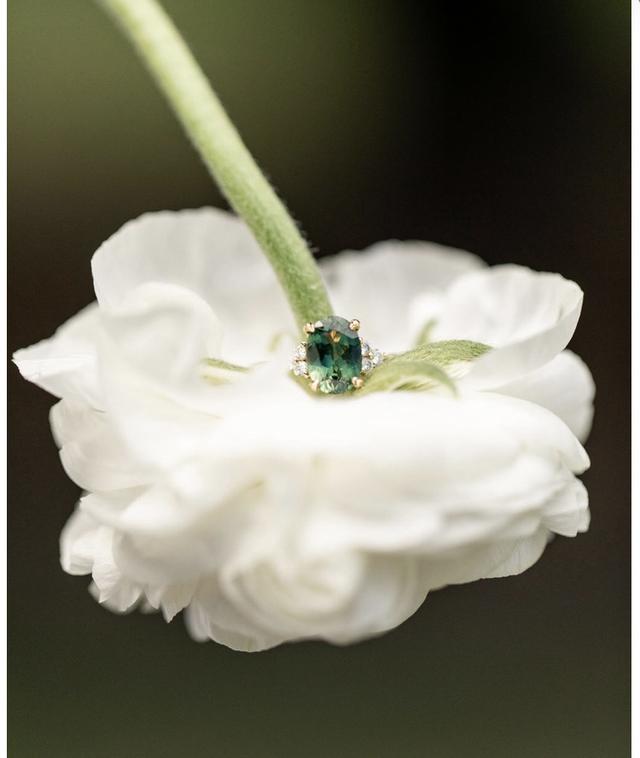 Alexandria Photography - 2