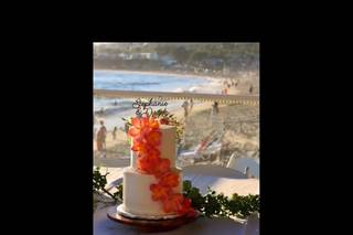 Plumeria Cake Studio - 5