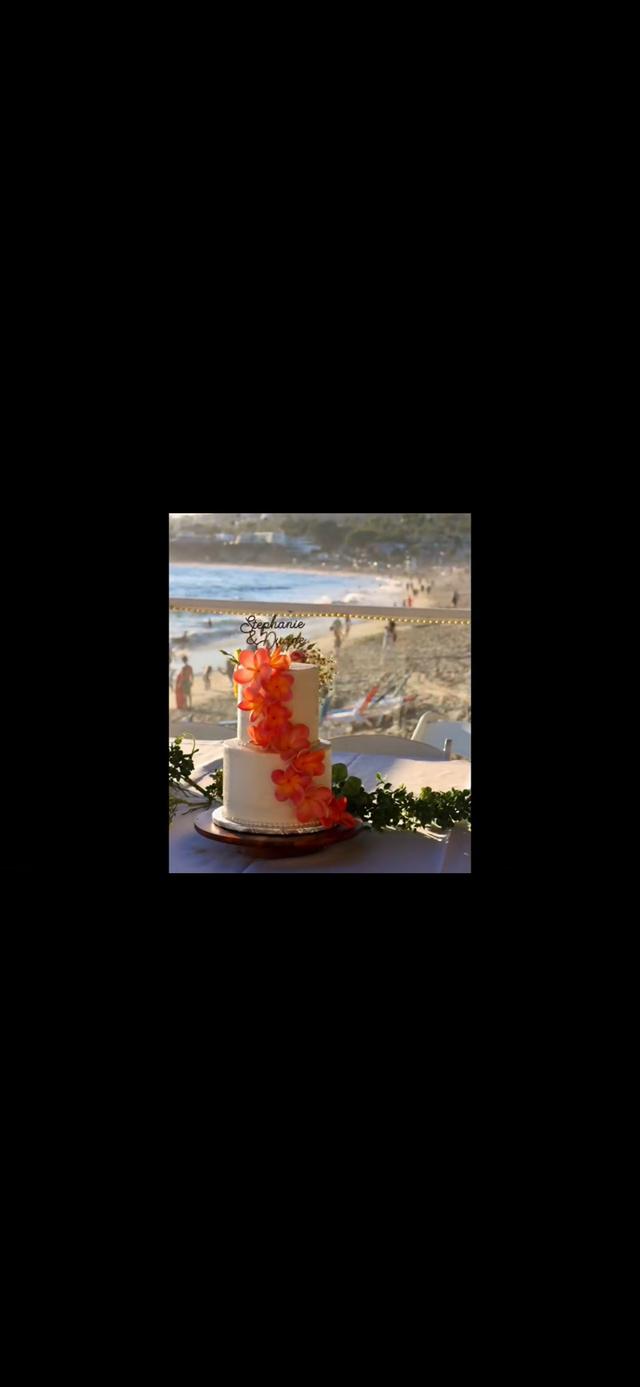 Plumeria Cake Studio - 1