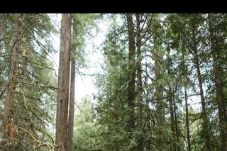 Camp Colton - 5