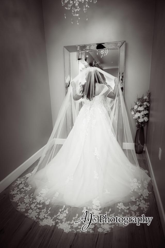 AJ's Photography - 2