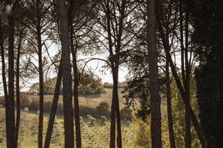 Romeo and Juliet - Elegant weddings in Italy - 12