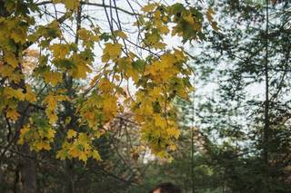 Luke Wayne Photography - 5