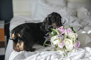 Carlson wildwood florist - 5