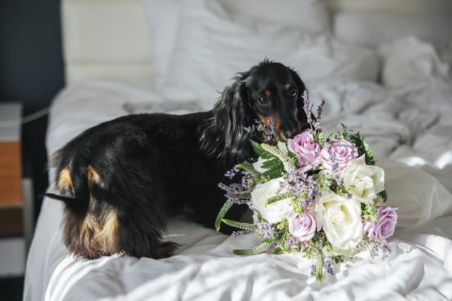 Carlson wildwood florist - 1