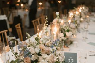 Parties & Petals - 5