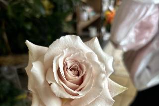 Doris the Florist - 25