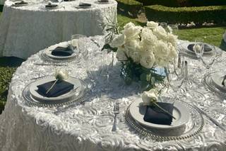 XL Entertainment Systems Inc. Draping & Lighting Decor - 6