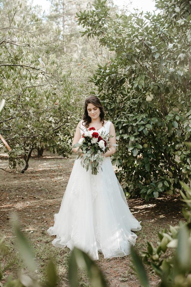 David's Bridal & Men's Wearhouse - 2