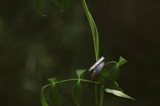 Anya McInroy Photography - 20
