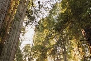 Weddings In The Wild - 6