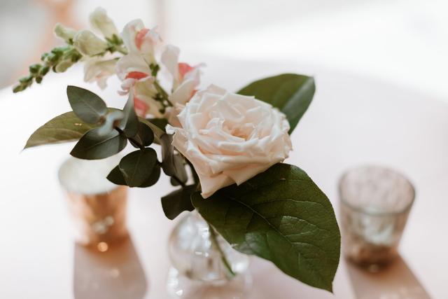 Meristem Floral - 3