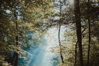 Apke Photography - 25