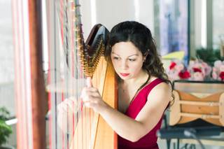 Lily Press, Harp & Simon Linn-Gerstein, Cello - 7