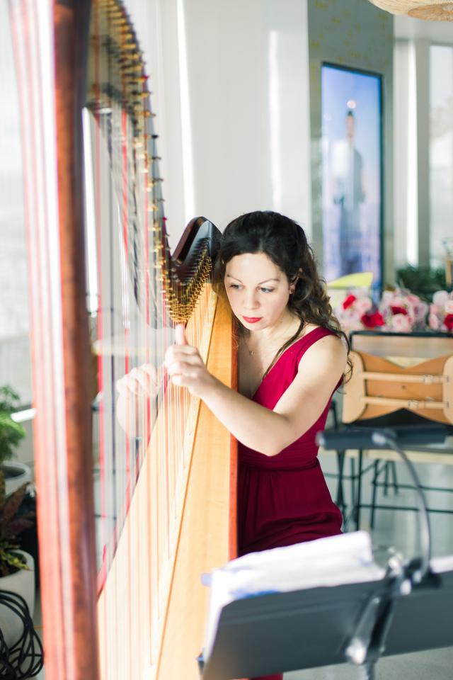 Lily Press, Harp & Simon Linn-Gerstein, Cello - 2