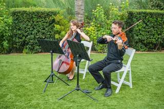 Magnolia Strings - 11
