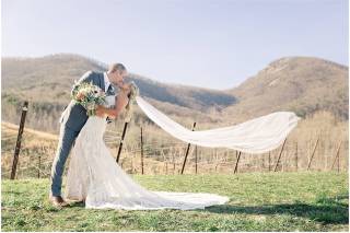 Yonah Mountain Vineyards - 19