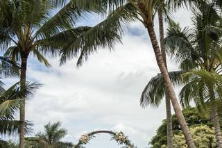 Kualoa Ranch - 55