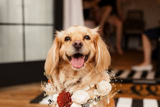 Works by Sarah Jane Photography - 49