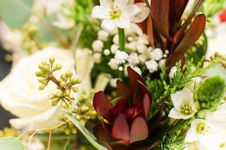 Steve's Floral, Inc. - 12