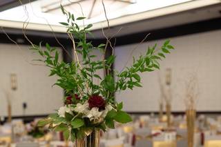 GTC Photography - 8