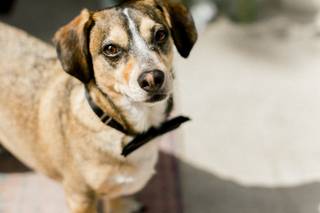 Justin Critz Photography - 26