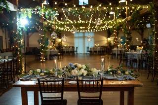 Wild Fern Boutique - 24