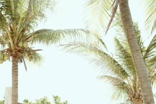 Blue Venado Beach Weddings - 81