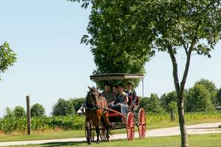 Mulberry Lane Farm - 20
