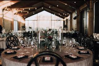 Wild One Events - 5