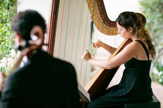 Lily Press, Harp & Simon Linn-Gerstein, Cello - 10