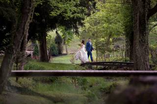 Historic Shady Lane - 16