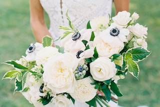 Noonan's Wine Country Designs - 8