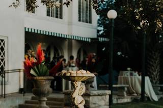 Bird Dog Wedding - 16