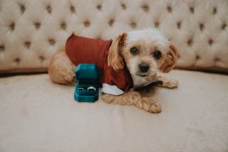 4EVERPIC - Professional Photography - 5