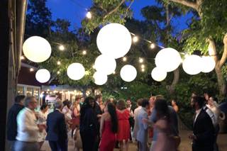 Fancy Fern Events - 22